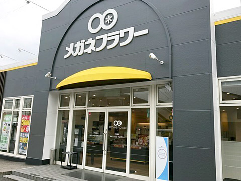 メガネフラワー 野田店 コンタクトレンズのアキュビュー 公式